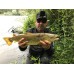 Rapala® Original Floater® 07